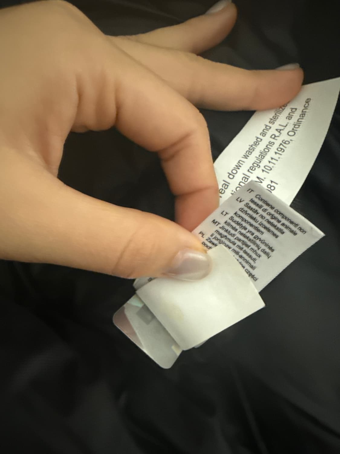 노스페이스 눕시숏패딩자켓 상품이미지3