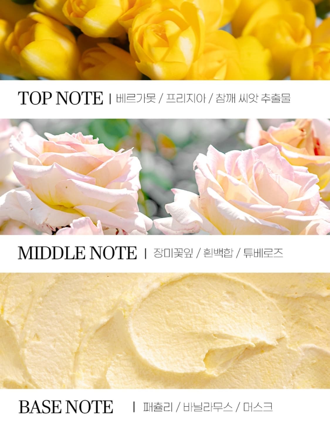 (단종)블루마린 로사 오드퍼퓸 100ml 상품이미지2