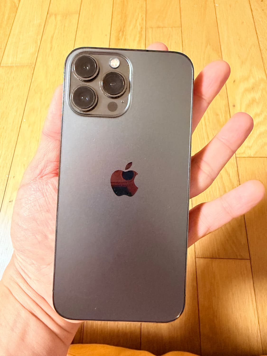 아이폰 13프로맥스 스페이스 그레이 1T 상품이미지2