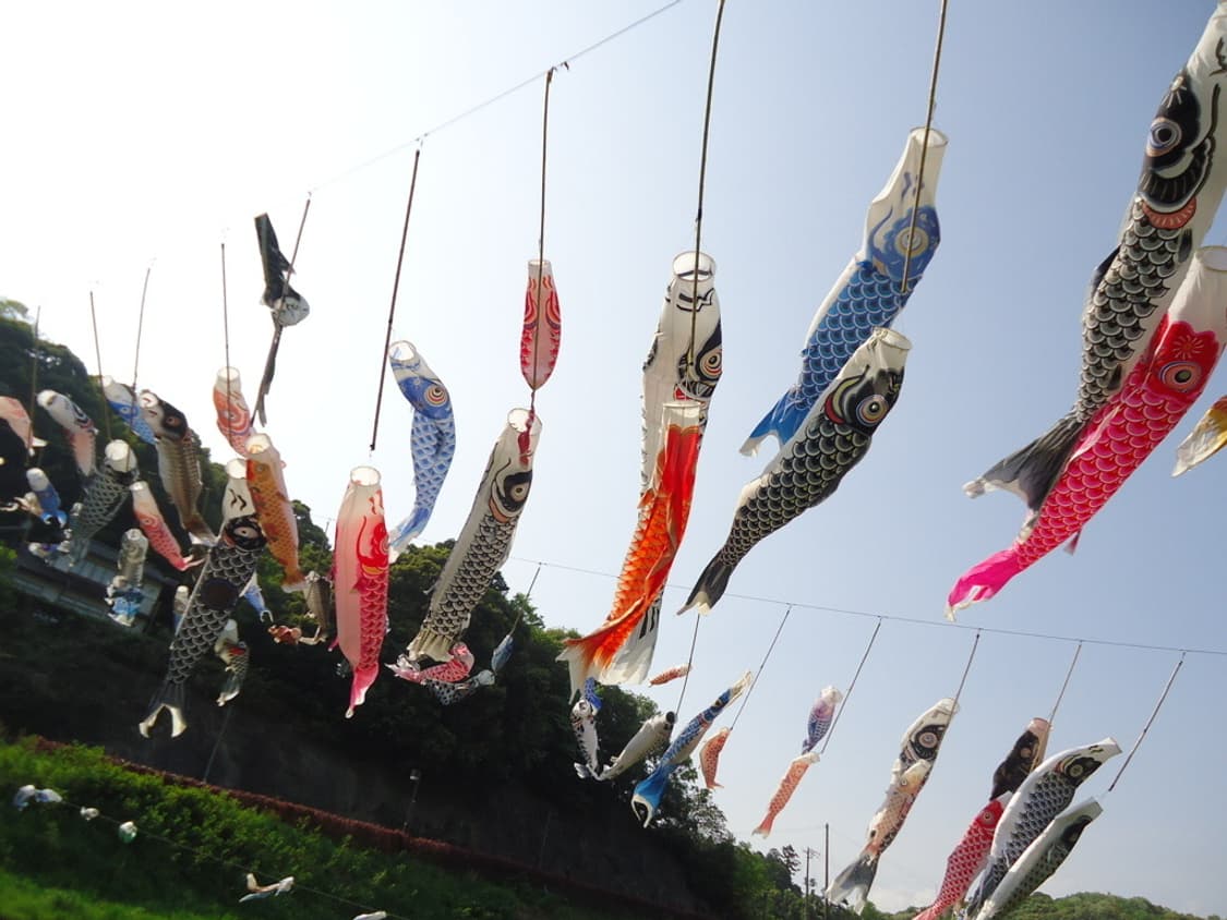 소니 사이버샷 Sony Cyber-shot DSC-W530 핑크 상품이미지2