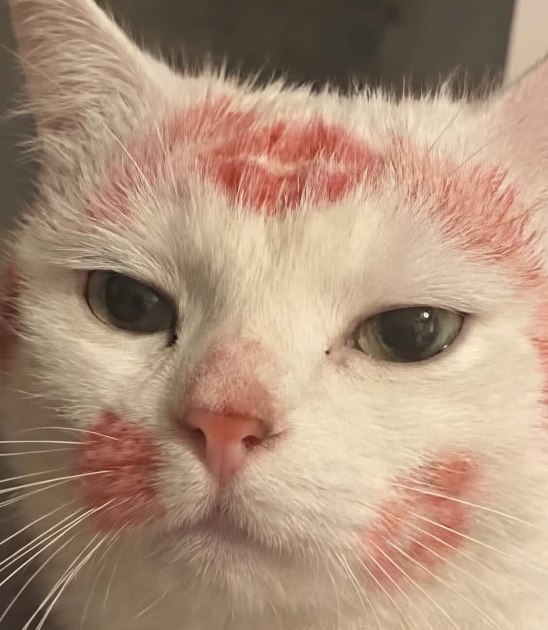 발렌시아가 ebay 티셔츠 상품이미지1