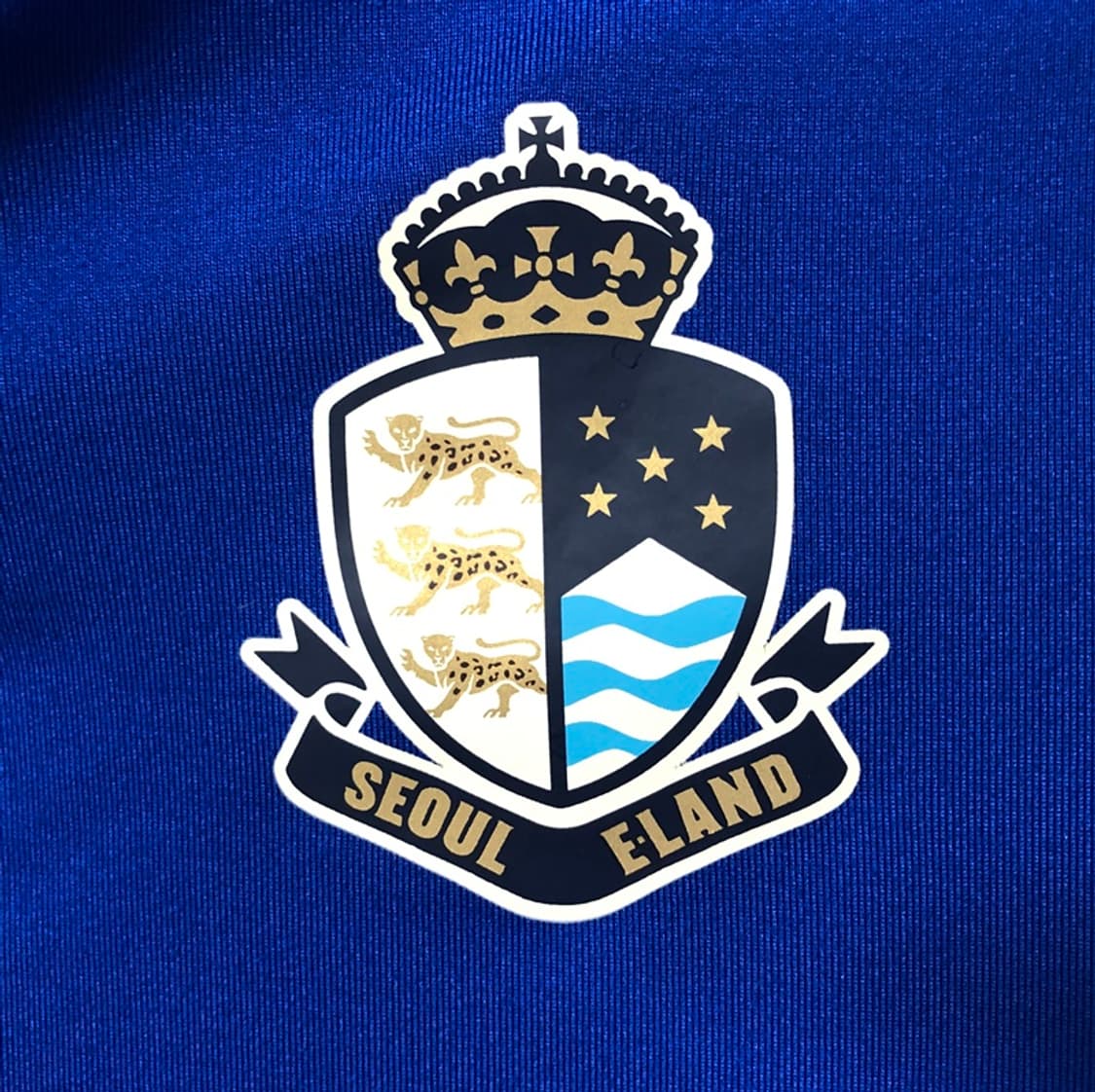 뉴발란스 서울이랜드FC U-18 선수실착 트레이닝탑 S(95) 상품이미지6