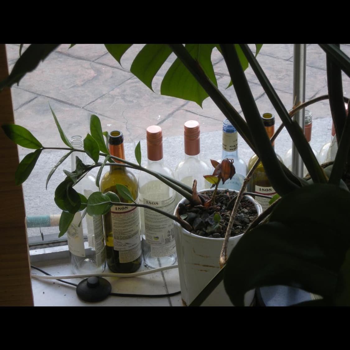 작례⭕️ 니콘 쿨픽스 S510 풀박스 와인 레드❤️  상품이미지3