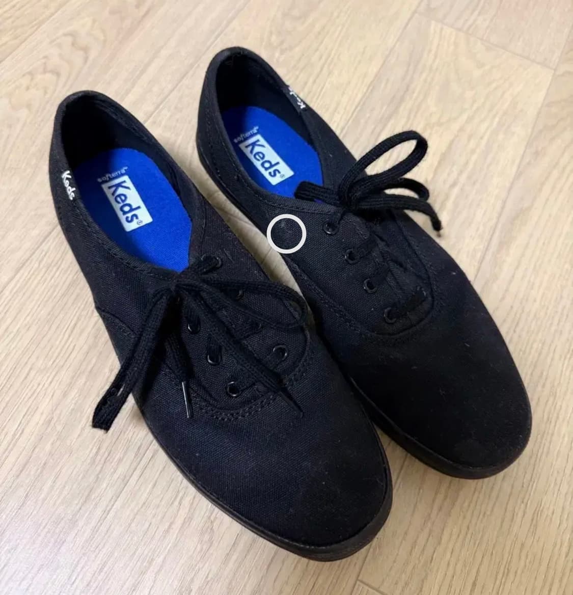 케즈 챔피온 캔버스 240 상품이미지1