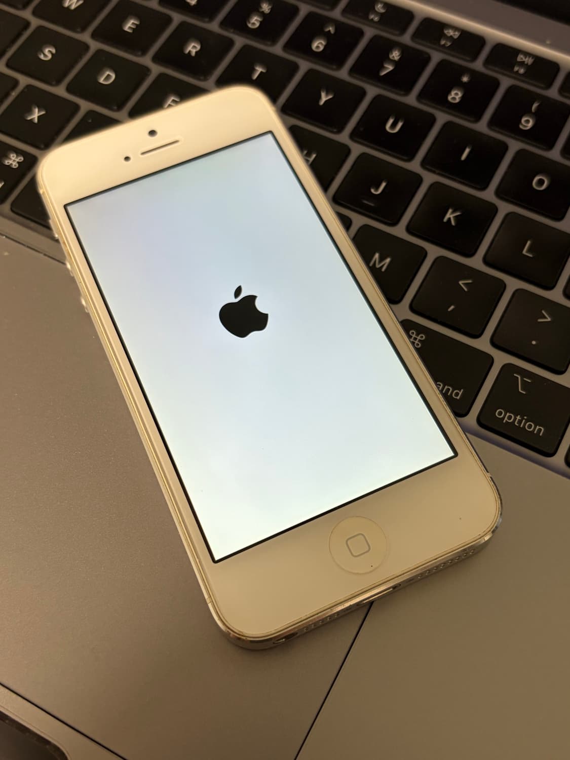 아이폰5 화이트 64기가 #5197 상품이미지7