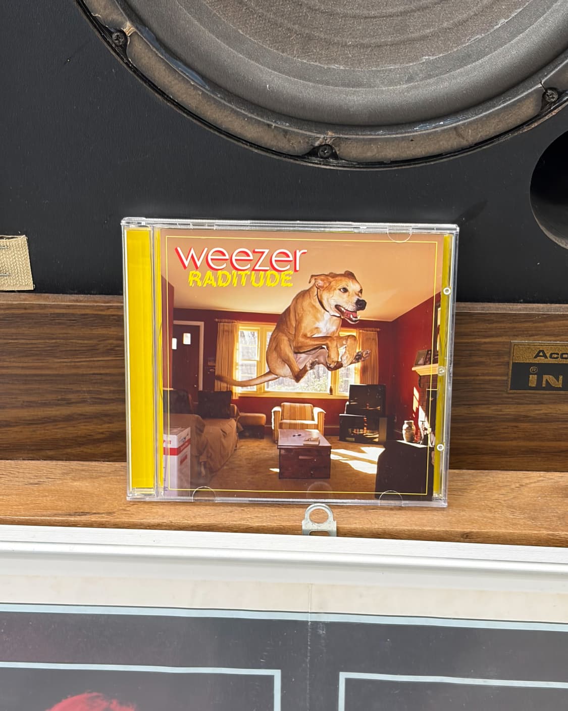 Weezer 상품이미지1