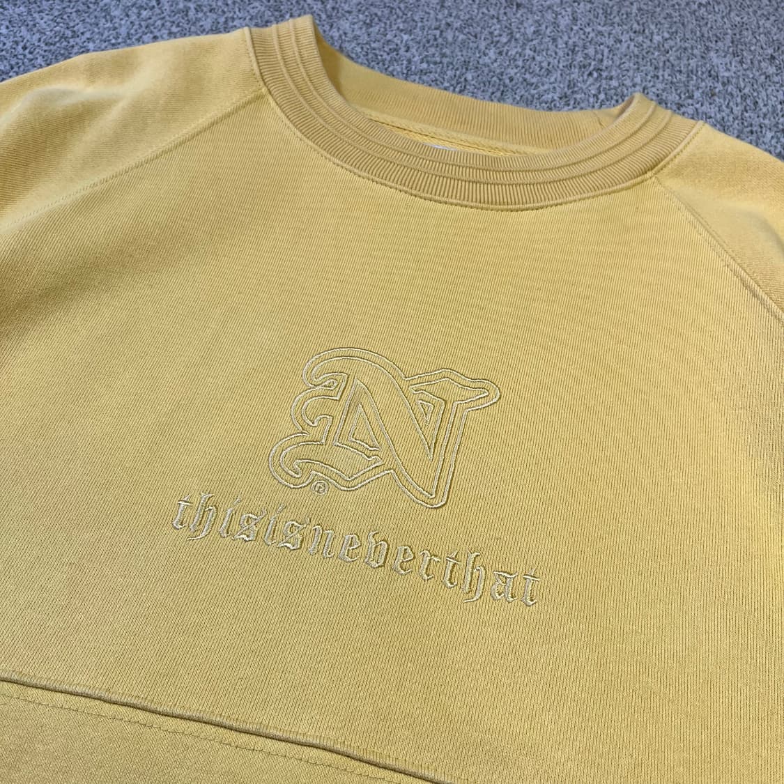 디스이즈네버댓 빅로고 맨투맨 상품이미지2