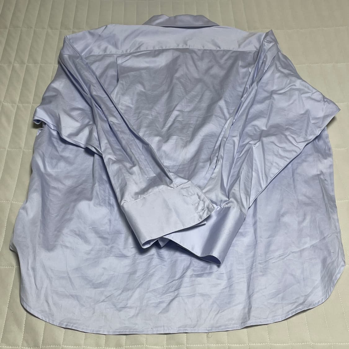 트리밍버드 베이직셔츠 스카이블루 상품이미지3