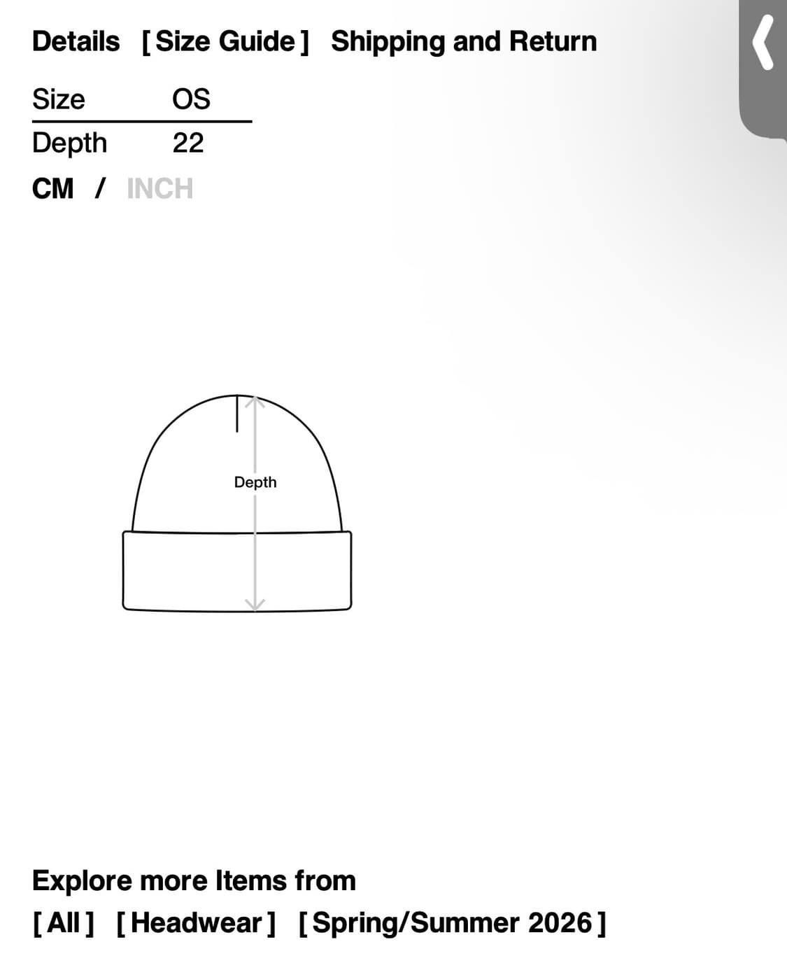 디스이즈네버댓) SP-Logo No Cuff Beanie LG F 상품이미지4