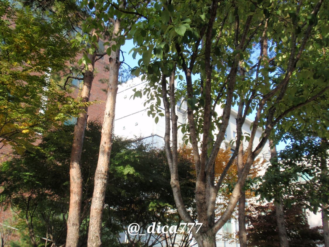 올림푸스 뮤 1020 디카 상품이미지8