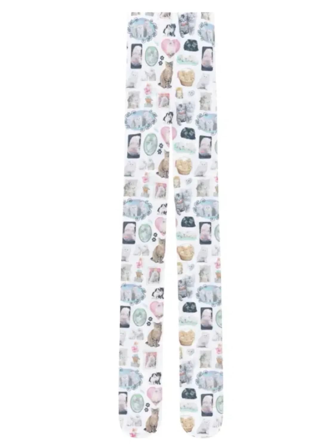 애슐리윌리엄스 캣 스타킹 상품이미지3