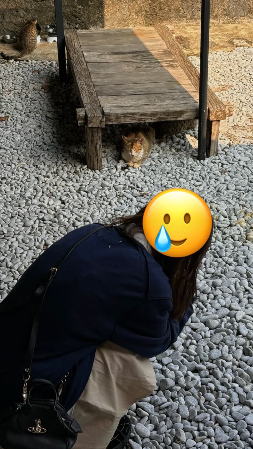 메종 마르지엘라 가디건 xl 상품이미지1