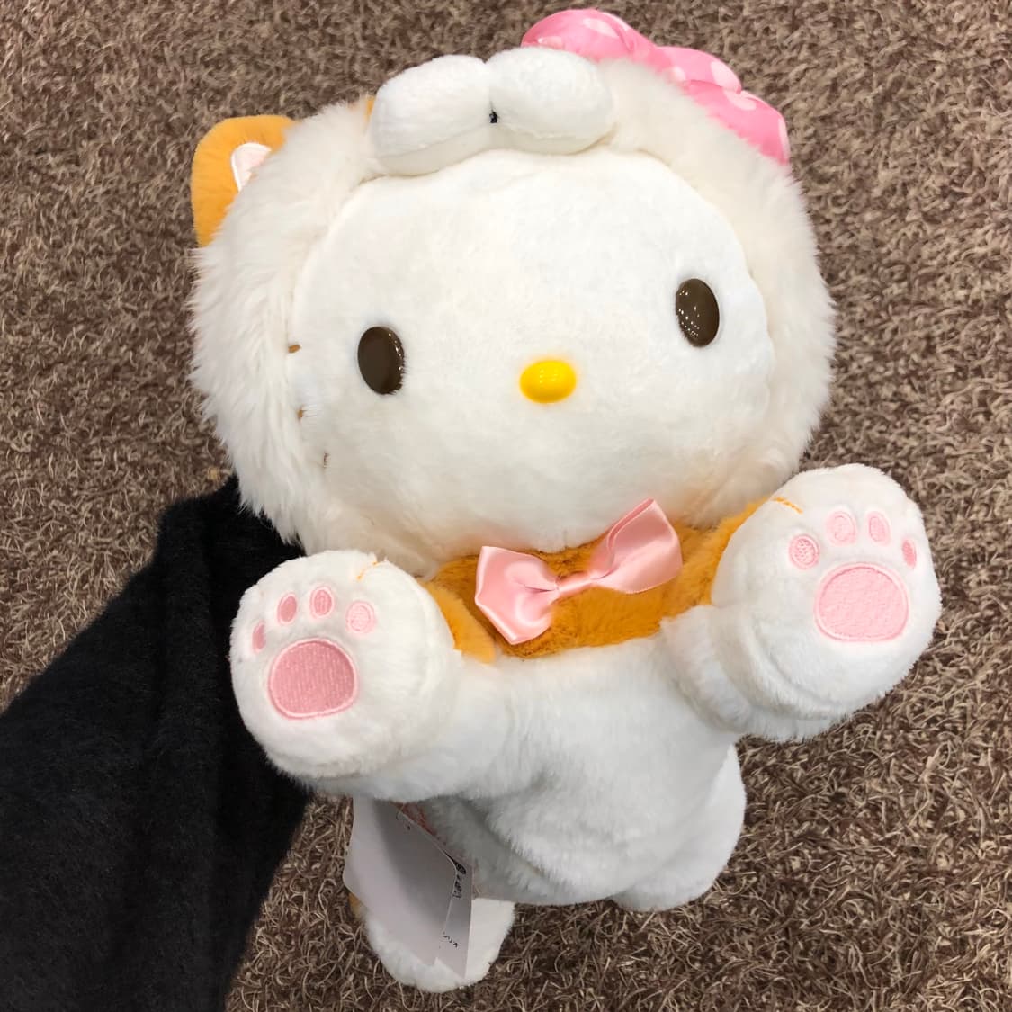 새상품 산리오 키티 시바이누 정품 인형 상품이미지3
