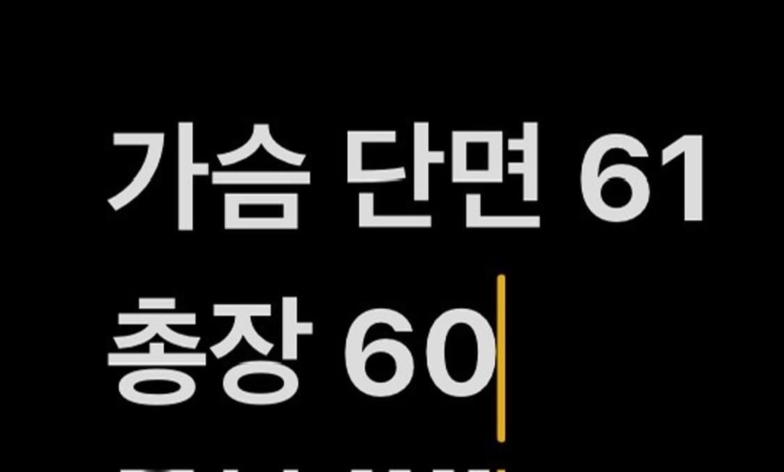 [정품/95] 롯데자이언츠 올드 춘추 바람막이 점퍼 b10 상품이미지9