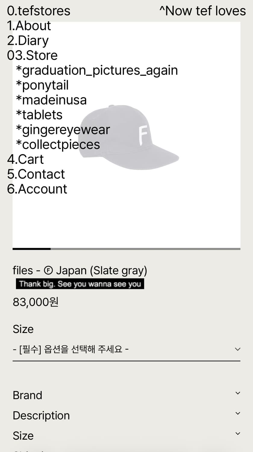 graduation pictures again 볼캡 상품이미지4