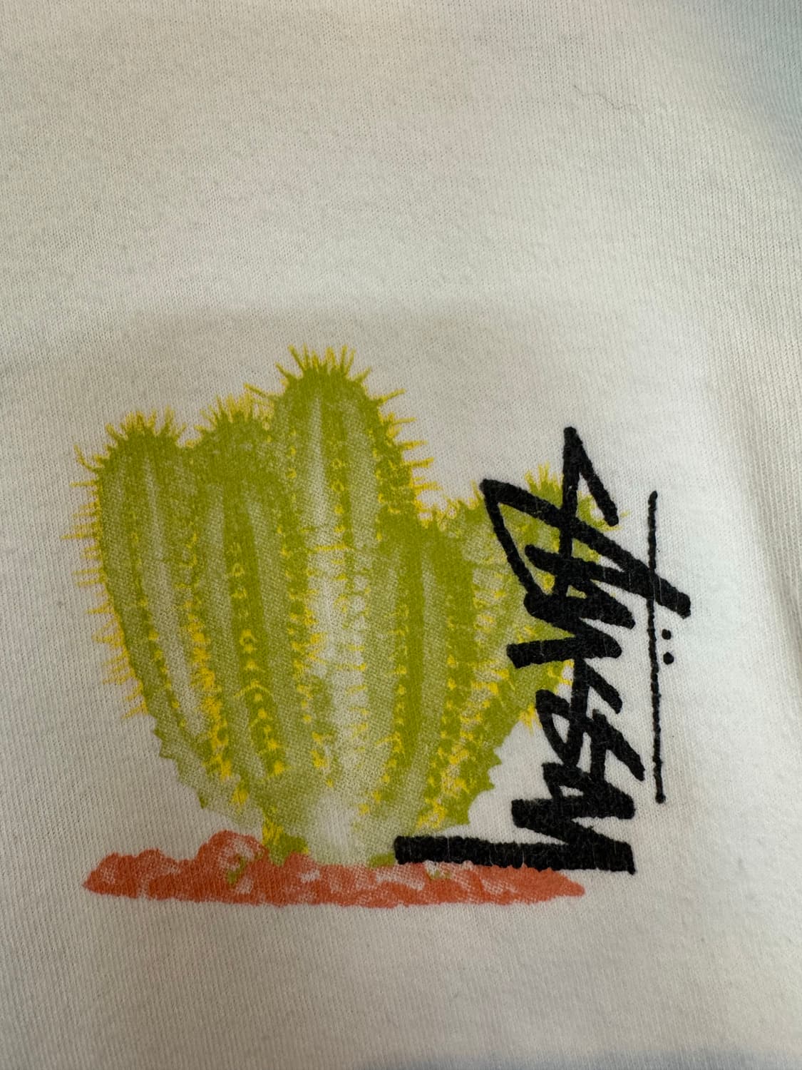 STUSSY 스투시 데저트 블룸 하프 티셔츠 상품이미지7