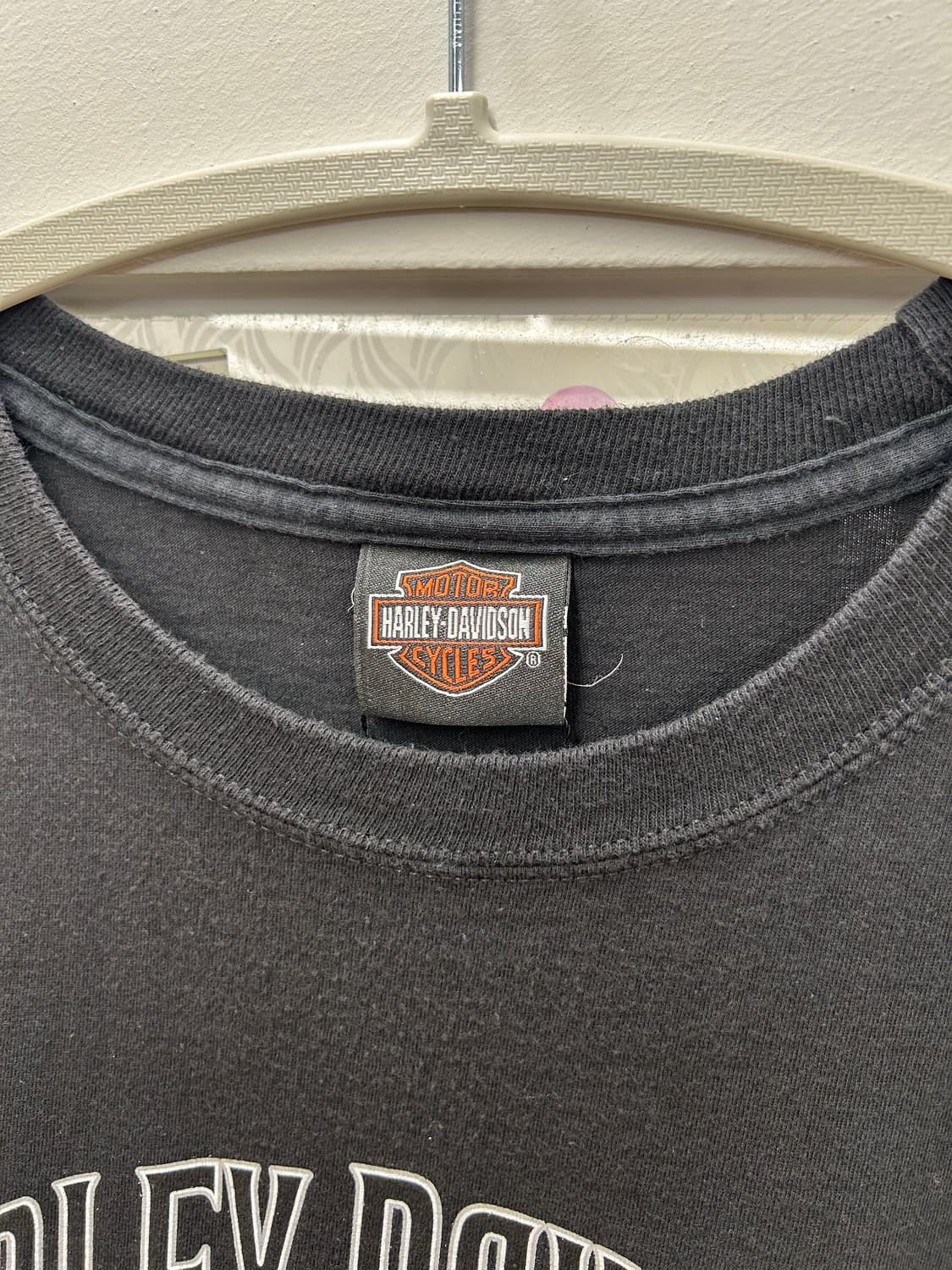 [4XL] 할리데이비슨 자이언 국립공원 백프린트 티셔츠  상품이미지2