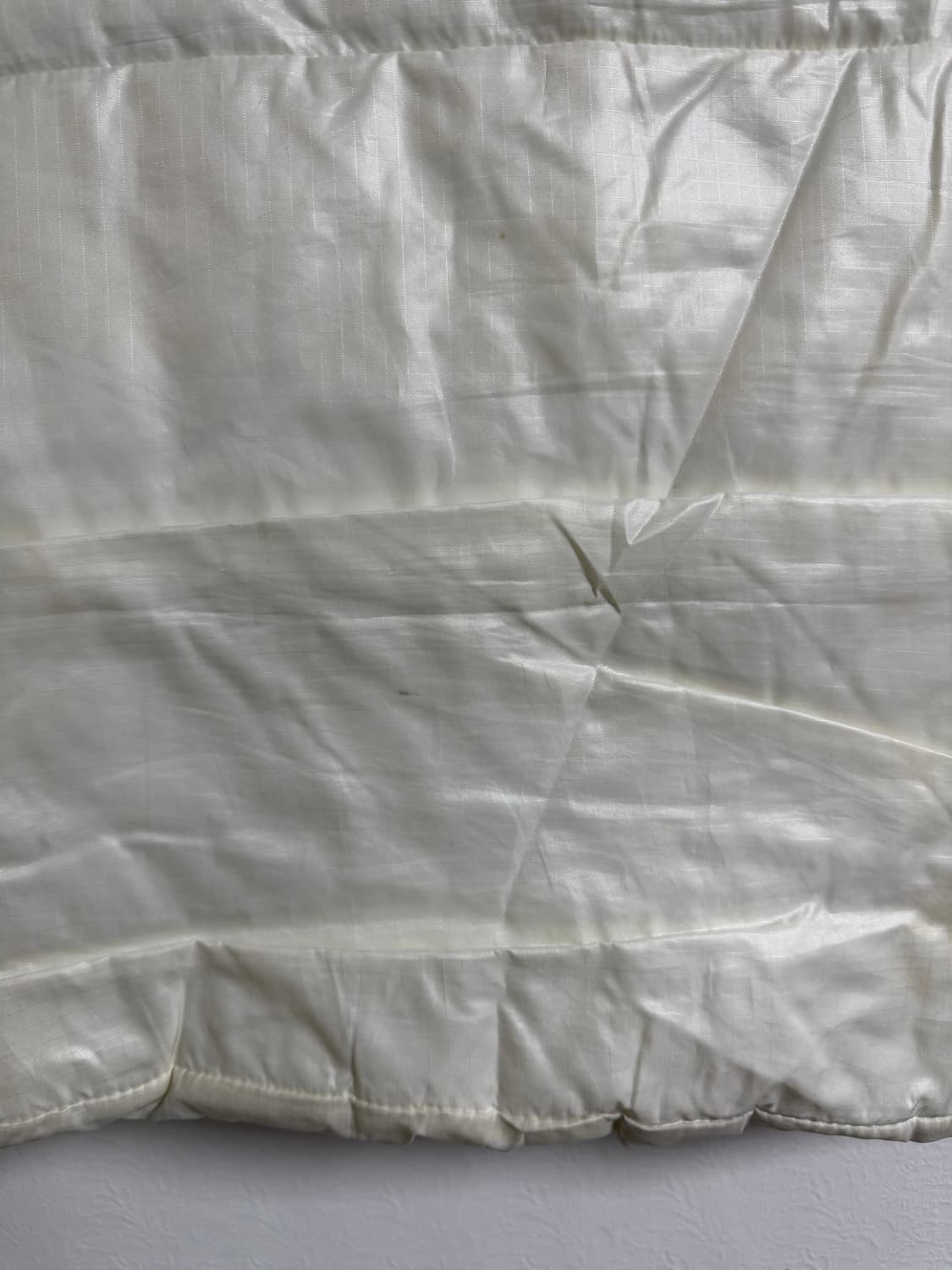 슈프림 x 챔피언 퍼피 베스트 상품이미지9