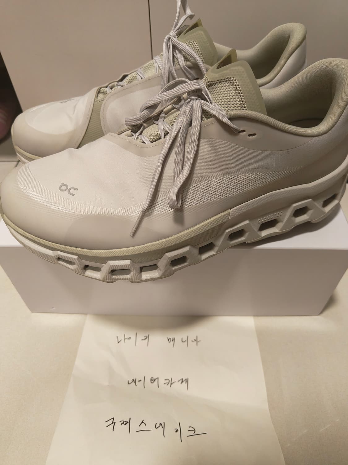 온러닝 파프 클라우드몬스터 문더스트 초크 상품이미지3