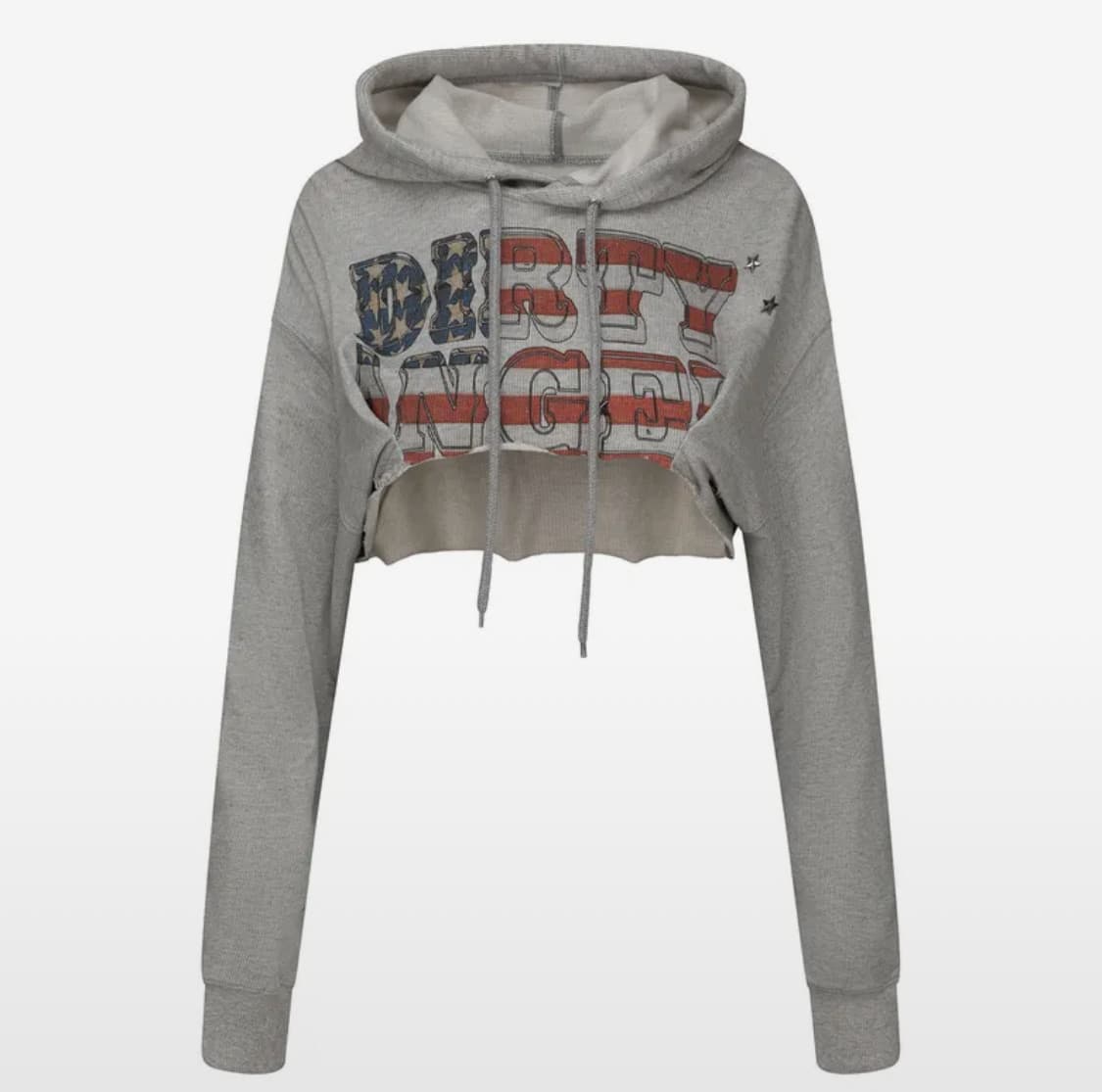 Sculptor 스컬프터 글리터 플래그 크롭 후디 멜란지 그레이 M 상품이미지1