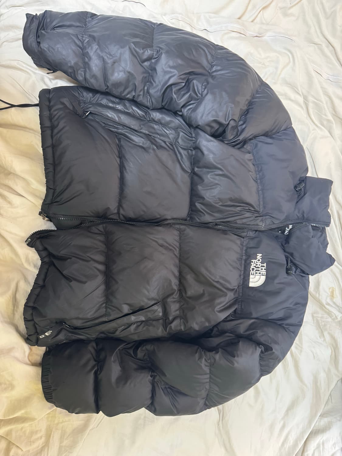 눕시 에코 1996 XL 팝니다 상품이미지2