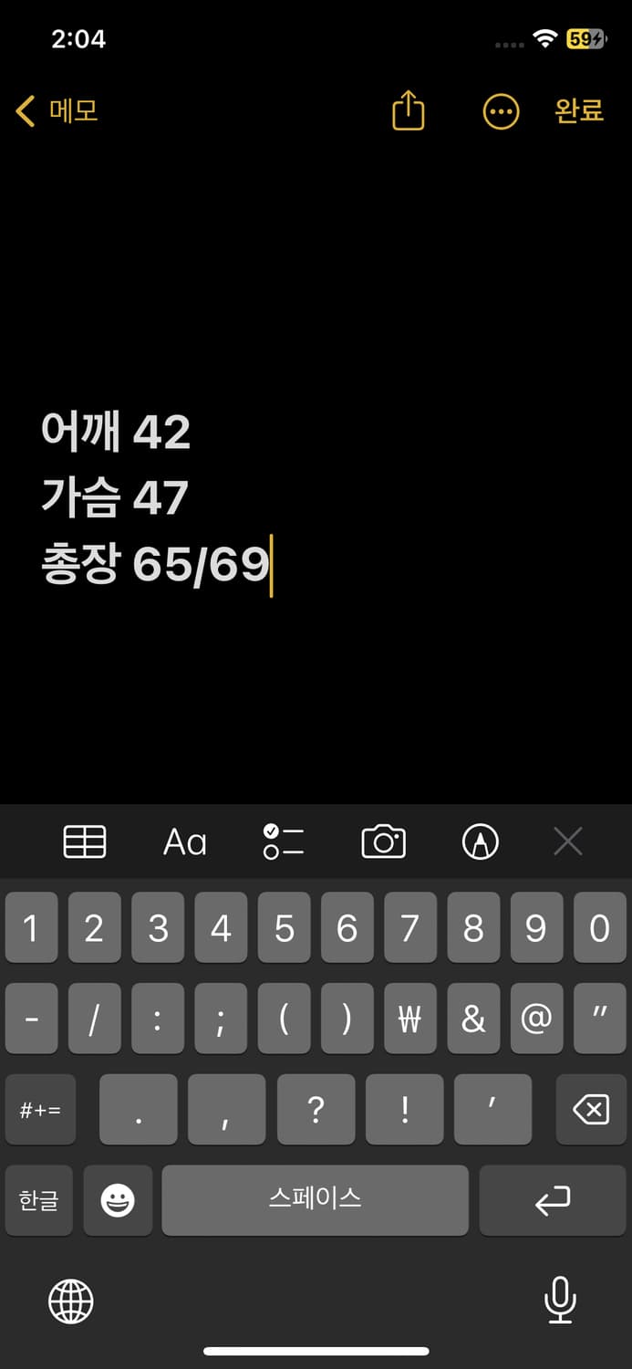 폴로랄프로렌 빅포니 카라티  상품이미지6
