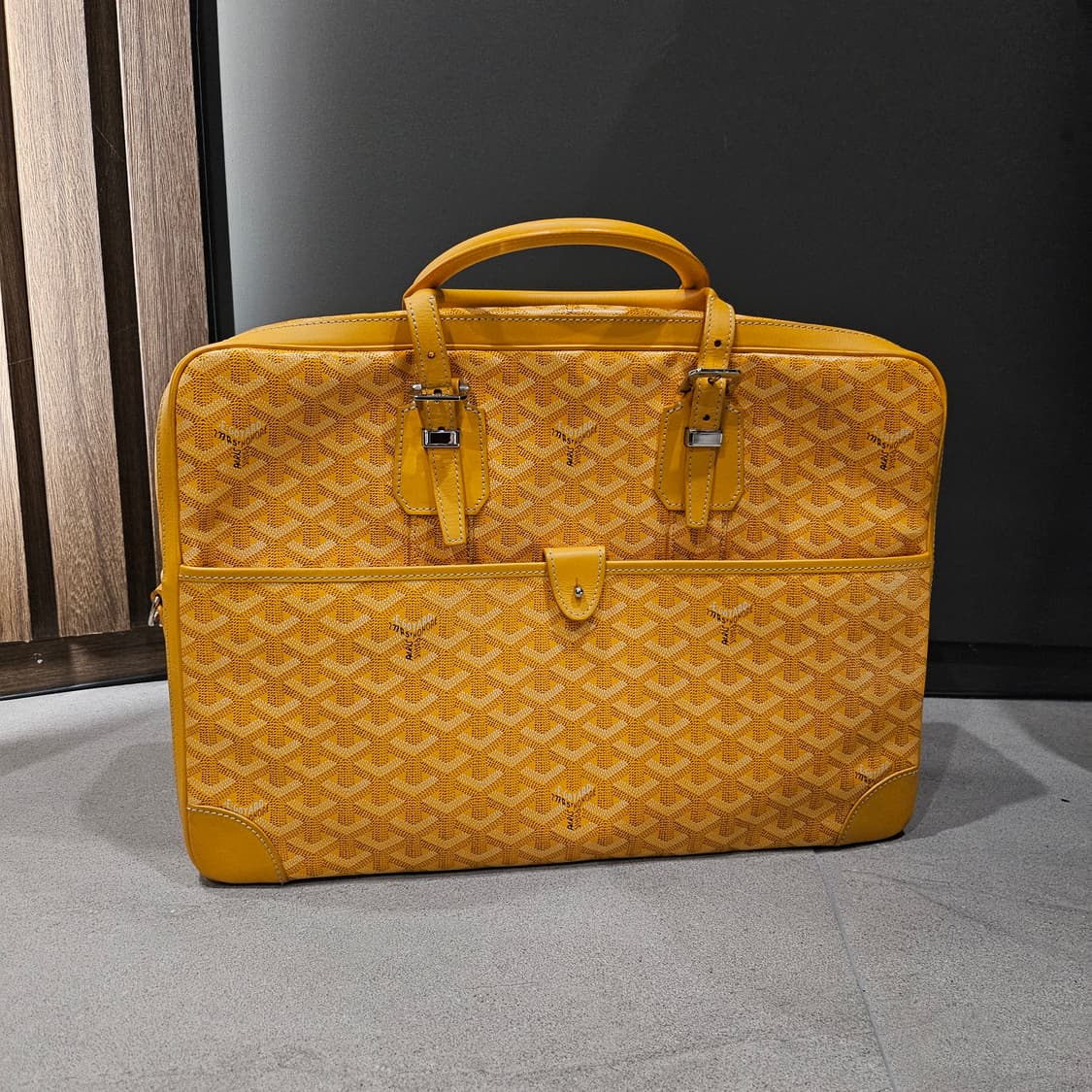 고야드 암바사드 MM 스페셜컬러 토트백 상품이미지2