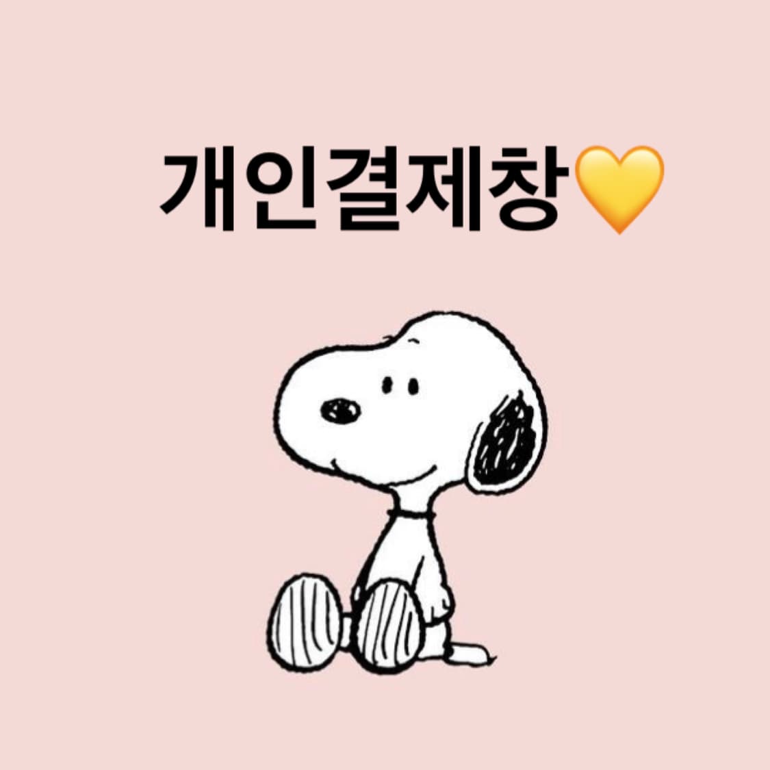 aji***님 개인결제창 상품이미지1