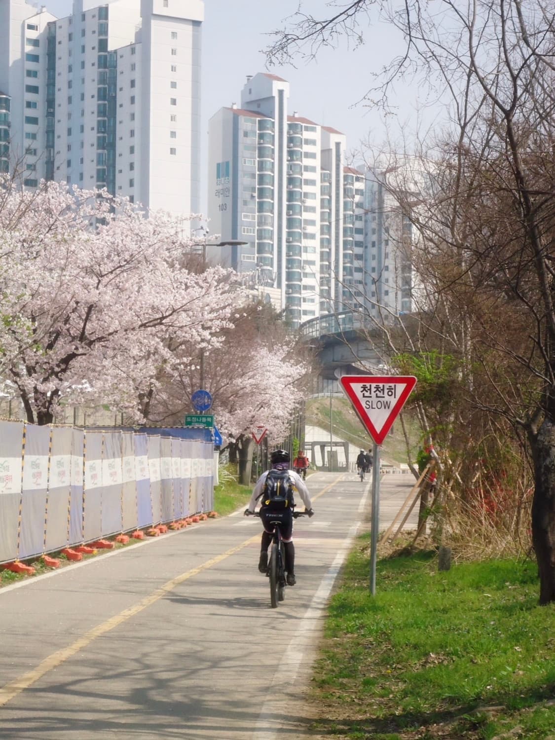 소니 사이버샷 DSC-WX7 빈티지디카 디지털카메라  상품이미지3