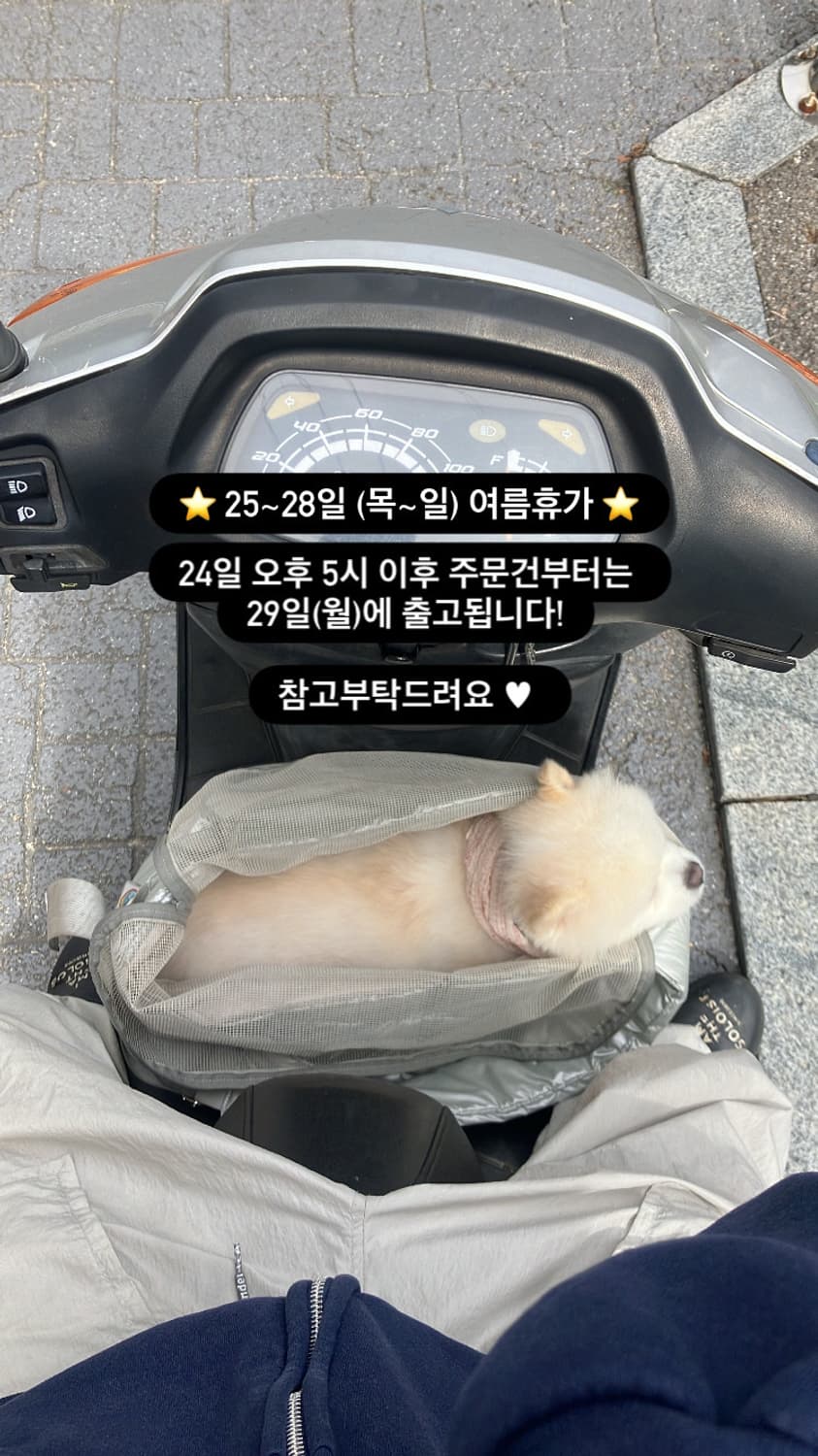 ⭐️⭐️⭐️⭐️⭐️ 상품이미지1