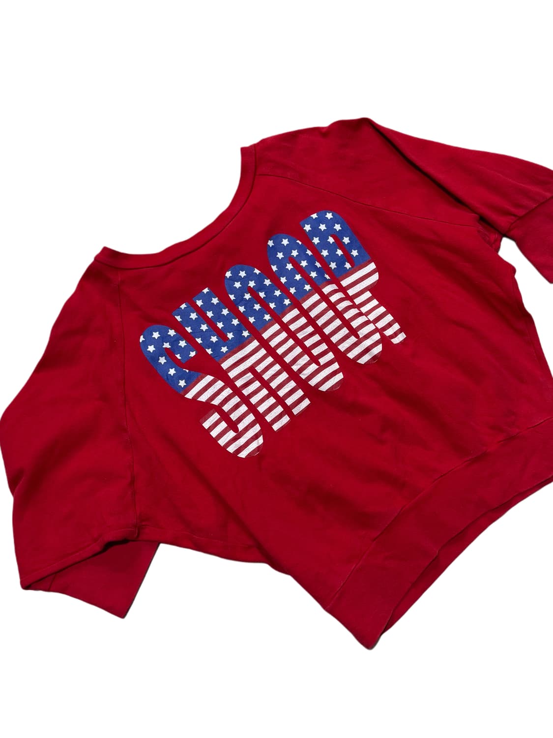 Y2K 성조기 BABY 로고 레터링 돌먼 탑 상품이미지3