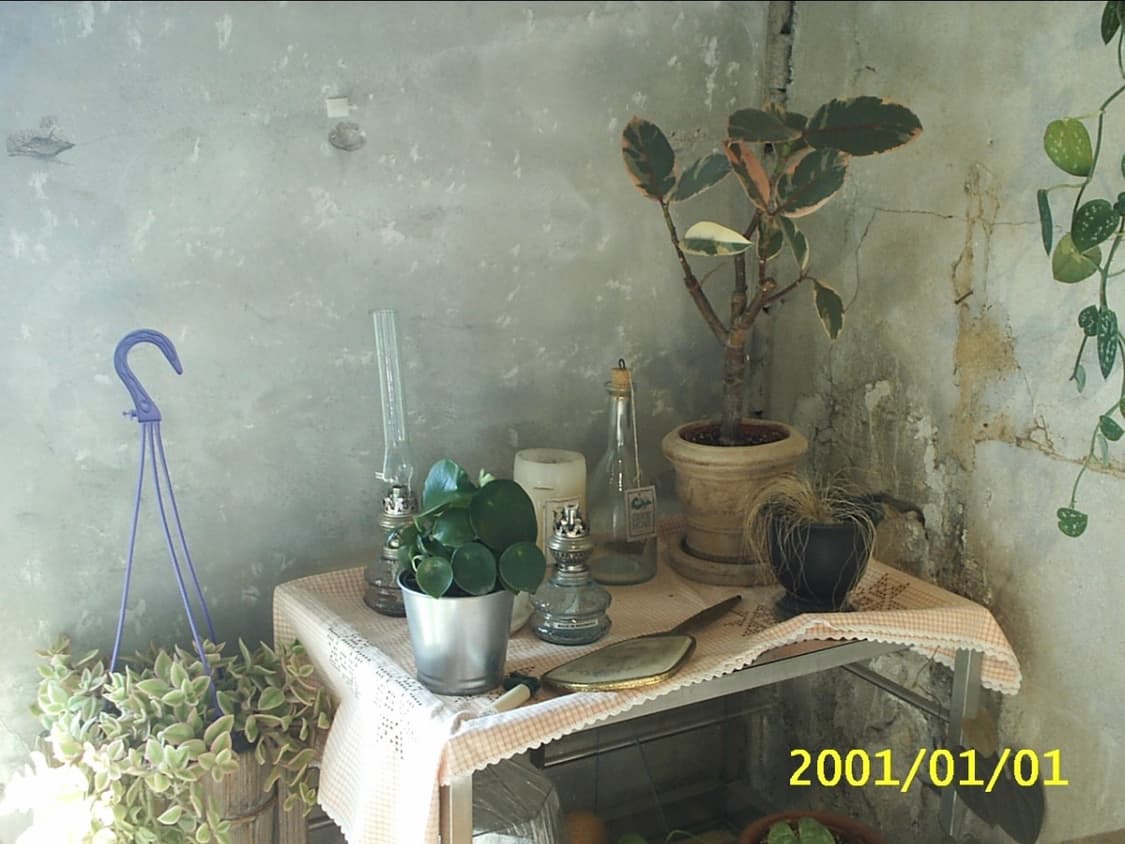 삼성 케녹스 디지맥스 201 빈티지 디지털 카메라 디카 상품이미지4