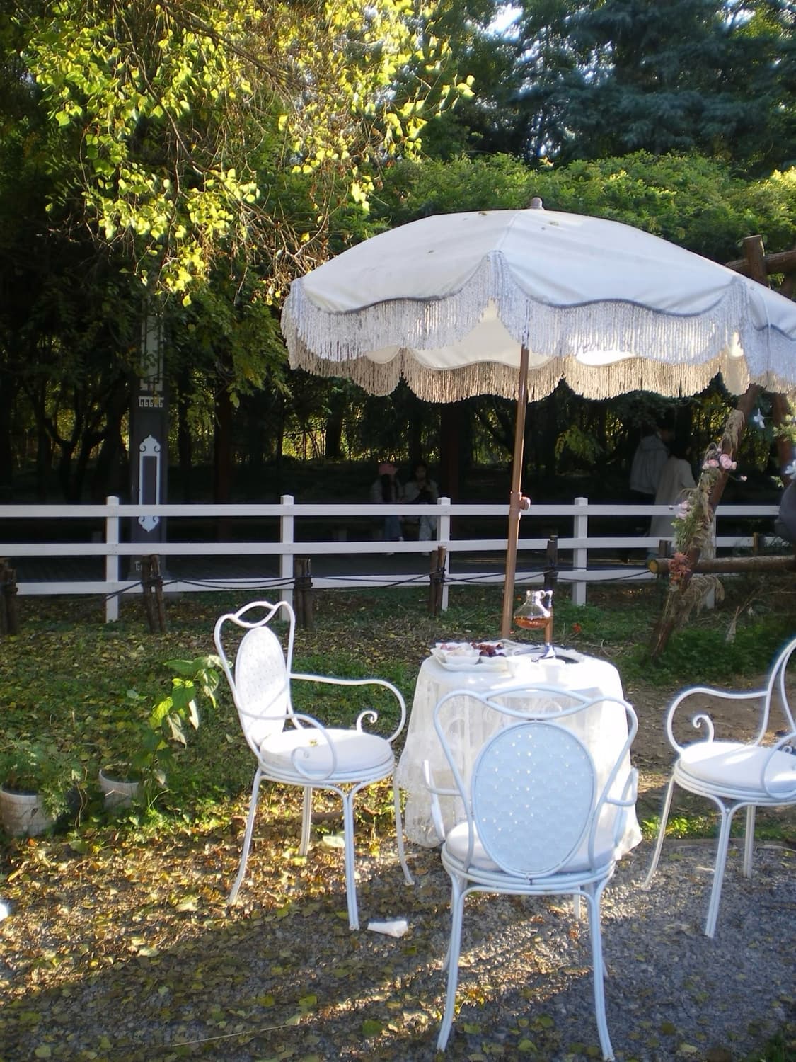 [*입문!🍀/한국어⭕️] 펜탁스 옵티오 M40 빈티지 카메라 디카 상품이미지10