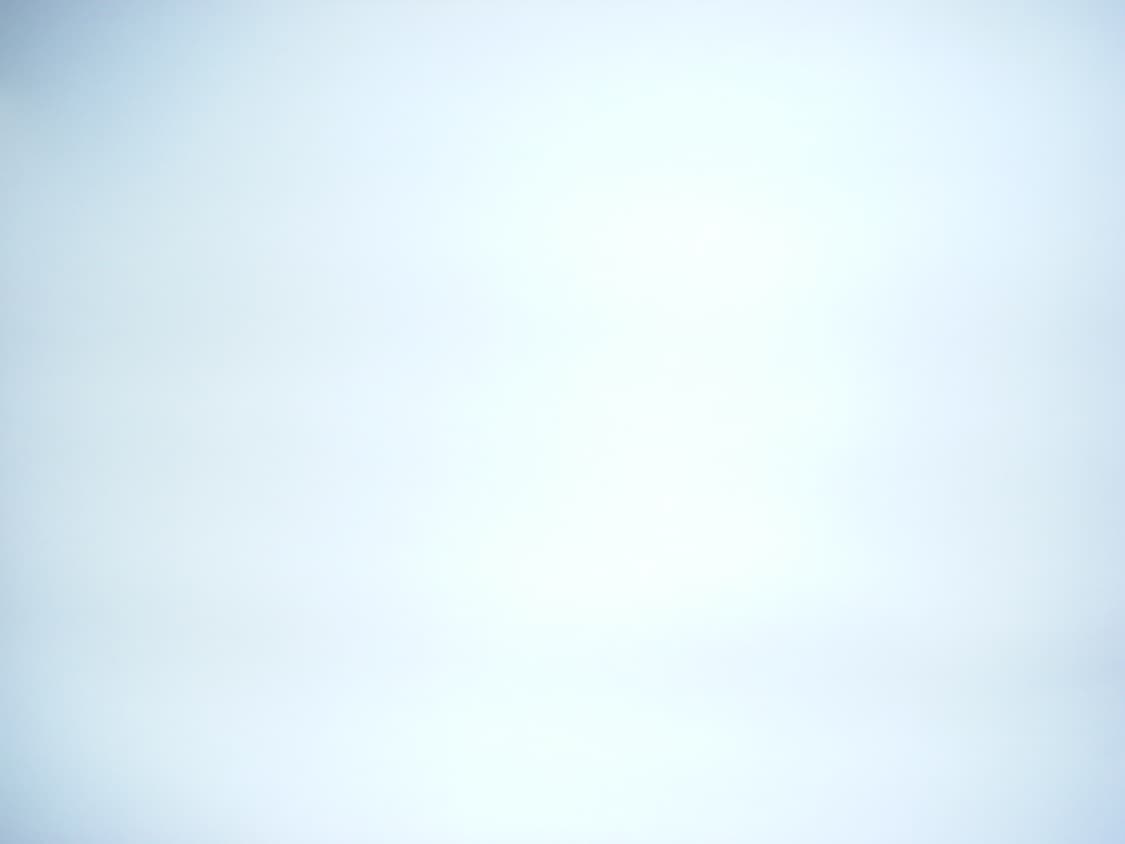 후지필름 파인픽스 finepix z100fd 상품이미지7