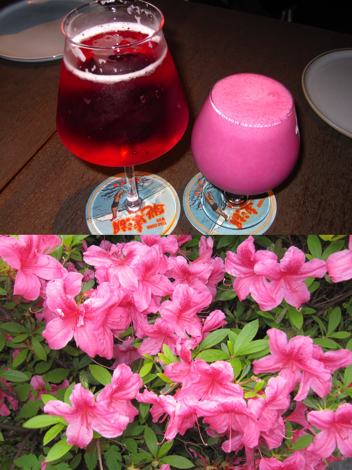 Nikon Coolpix S3000 상품이미지2