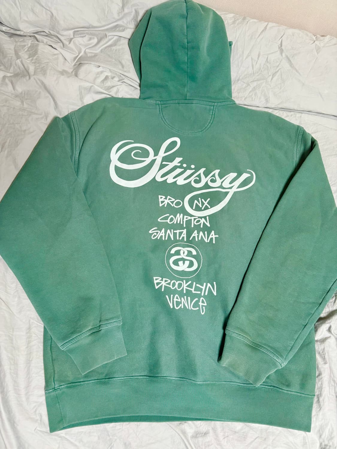 스투시 월드투어 후드 피그먼트 다이드 포레스트 상품이미지2