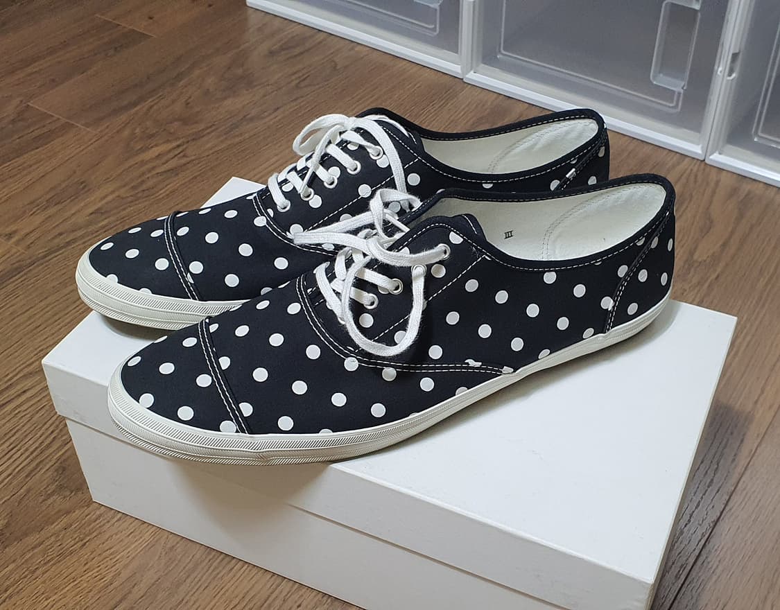 유나이티드 애로우즈 도트 코튼 스니커즈 캔버스 슈즈 상품이미지2