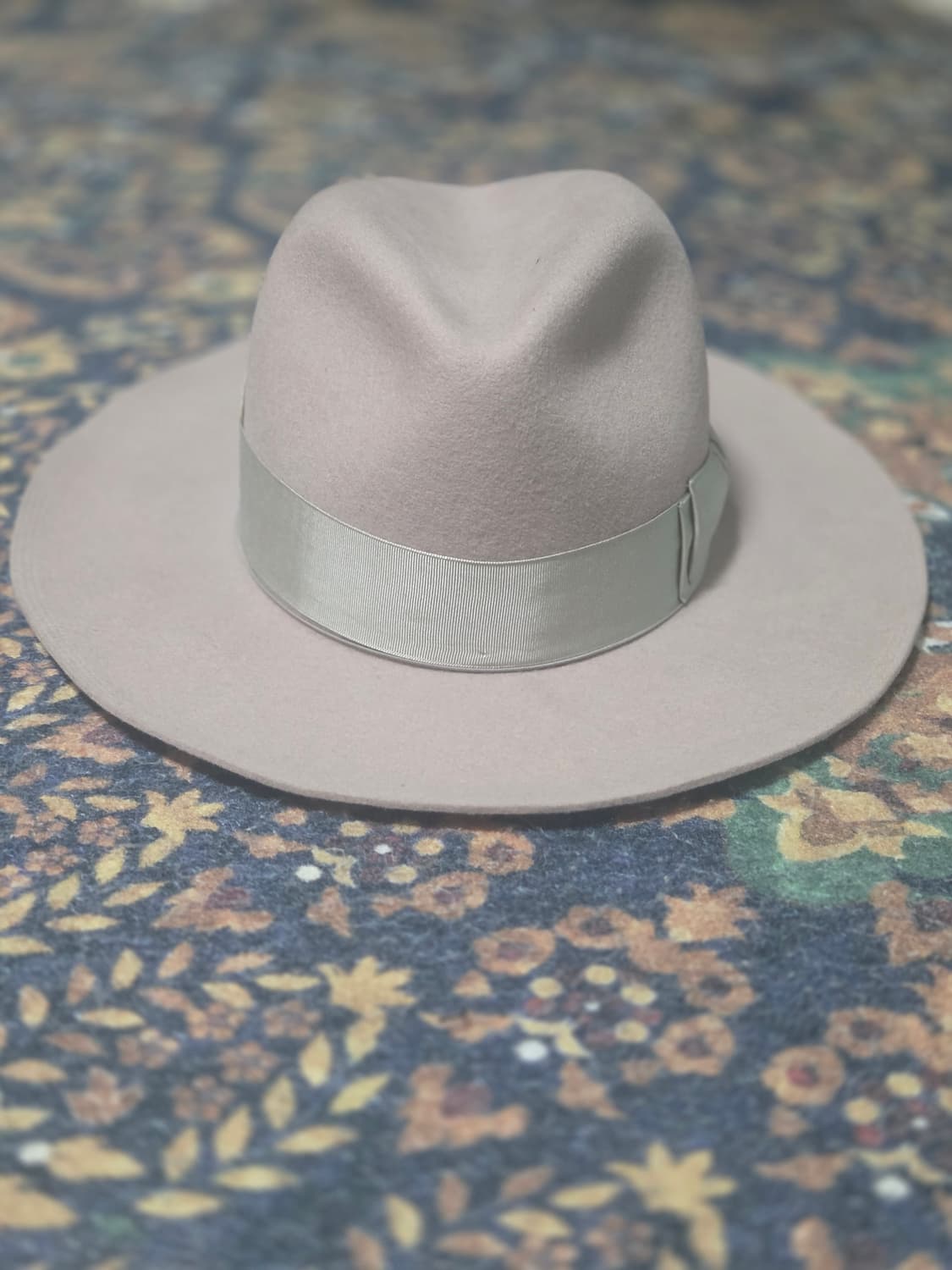 도그엔코 페도라 상품이미지2