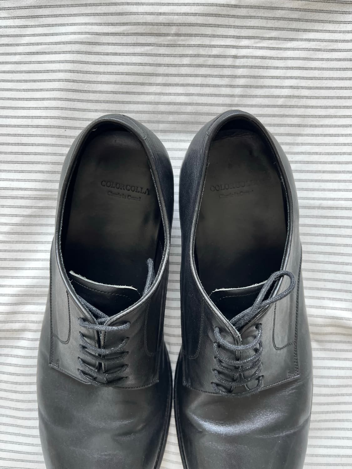 컬러콜라 10007 BK Horse Derby (270-280) 상품이미지5