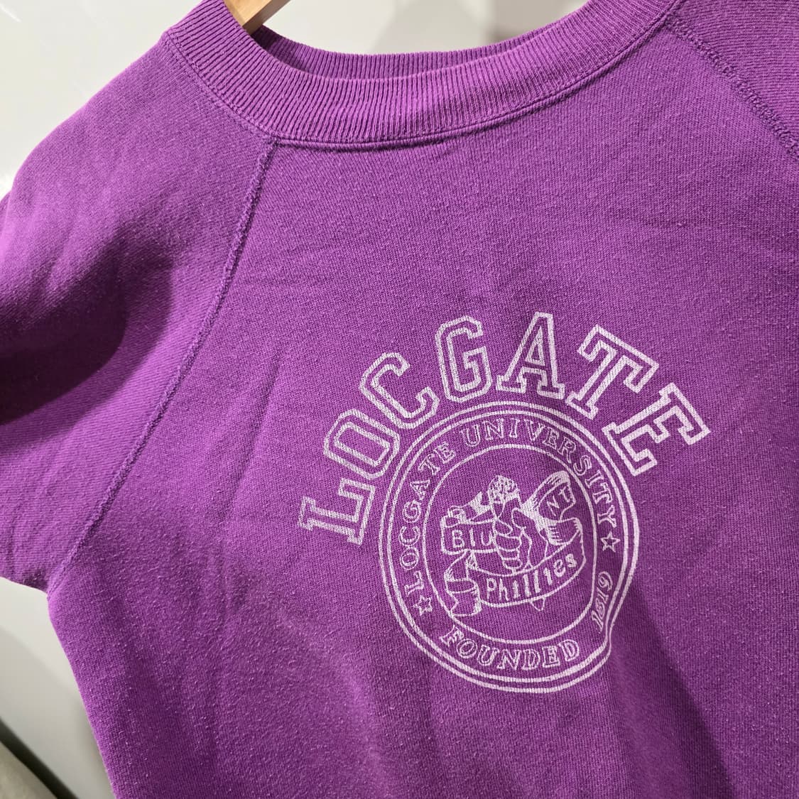 헤인즈(Hanes) 빈티지 그래픽 퍼플 맨투맨 상품이미지4