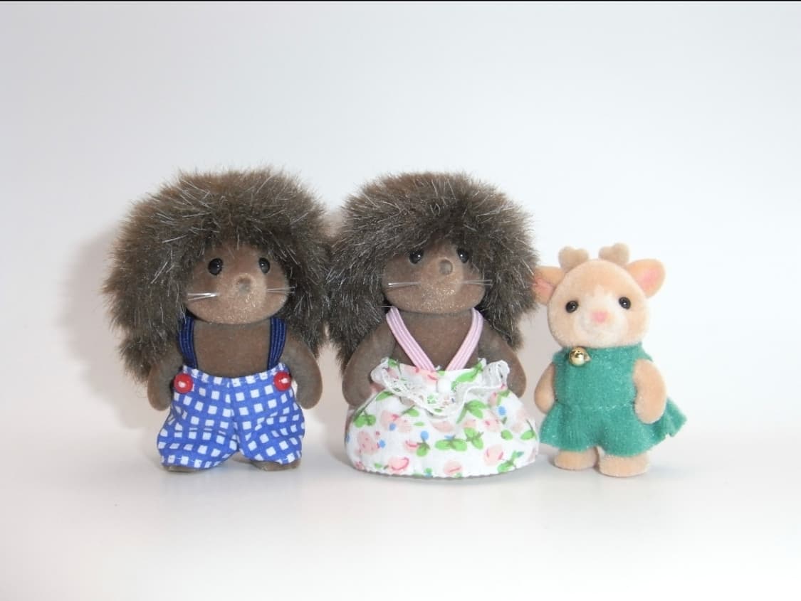 🤎ricoh R10 브라운✨ 감성 스냅에 딱 좋은 디카 상품이미지3