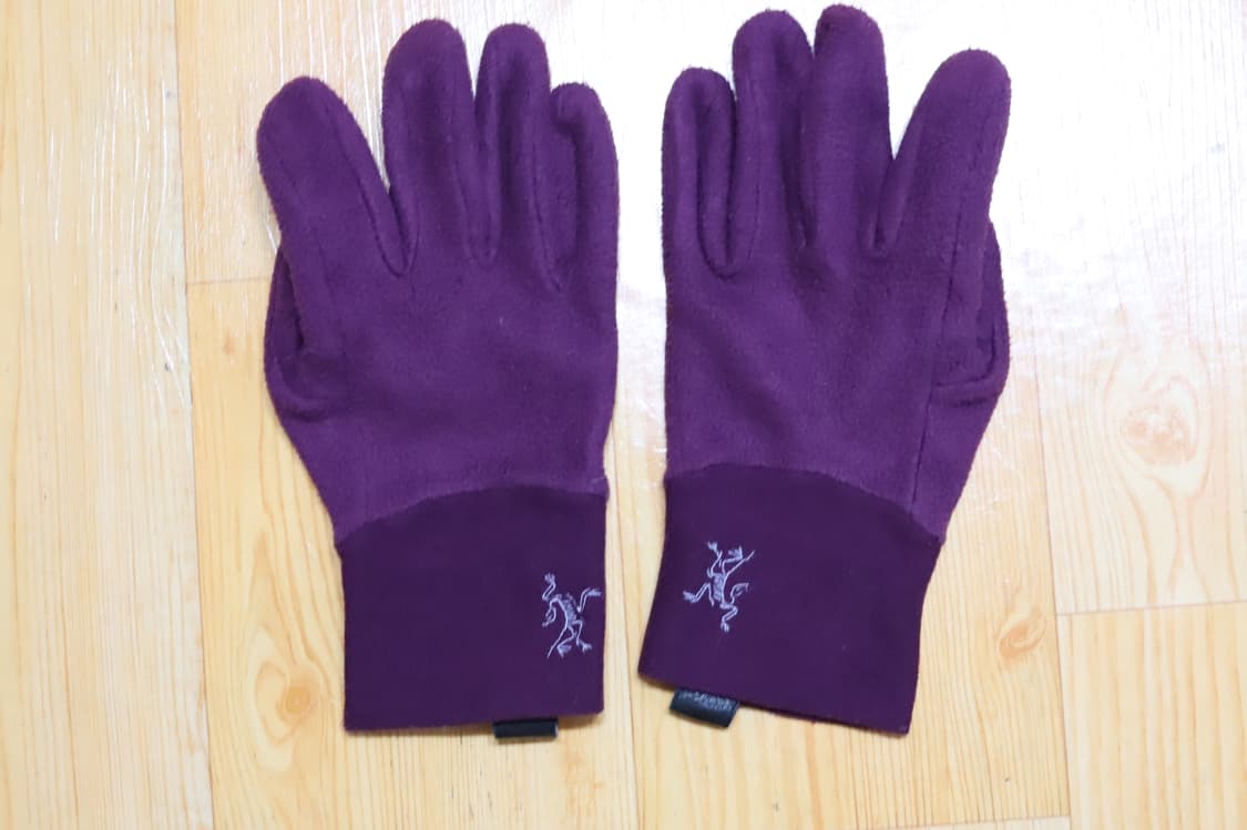 아크테릭스 델타 AR 글러브 (Delta AR Glove) 상품이미지4