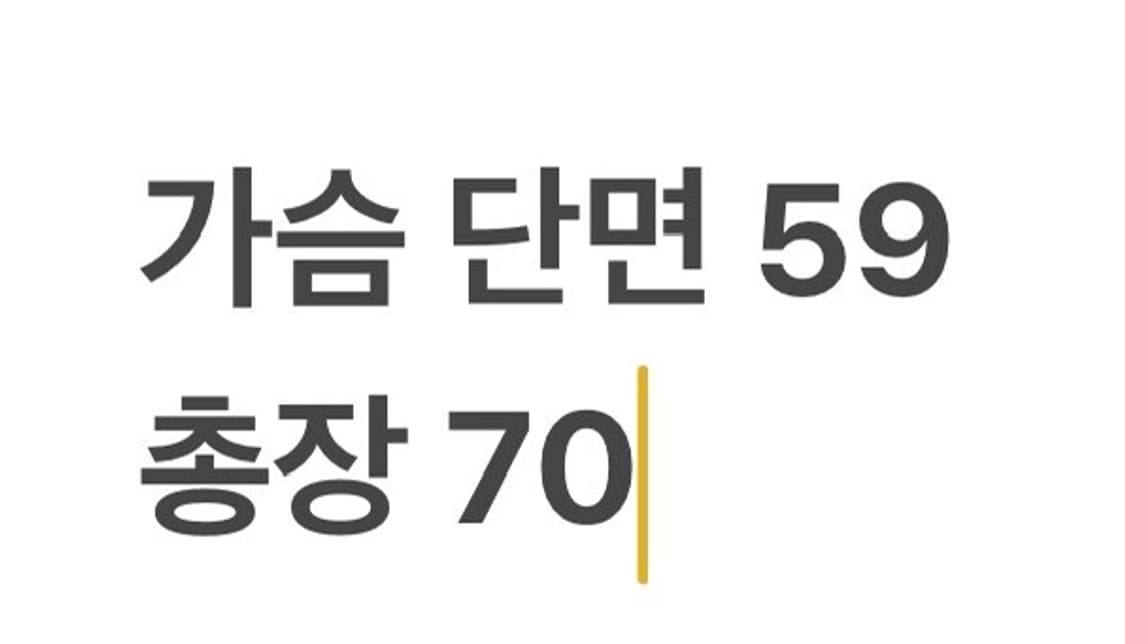 [정품/100] 노스페이스 써밋 고어텍스 자켓 블루 b14 상품이미지9