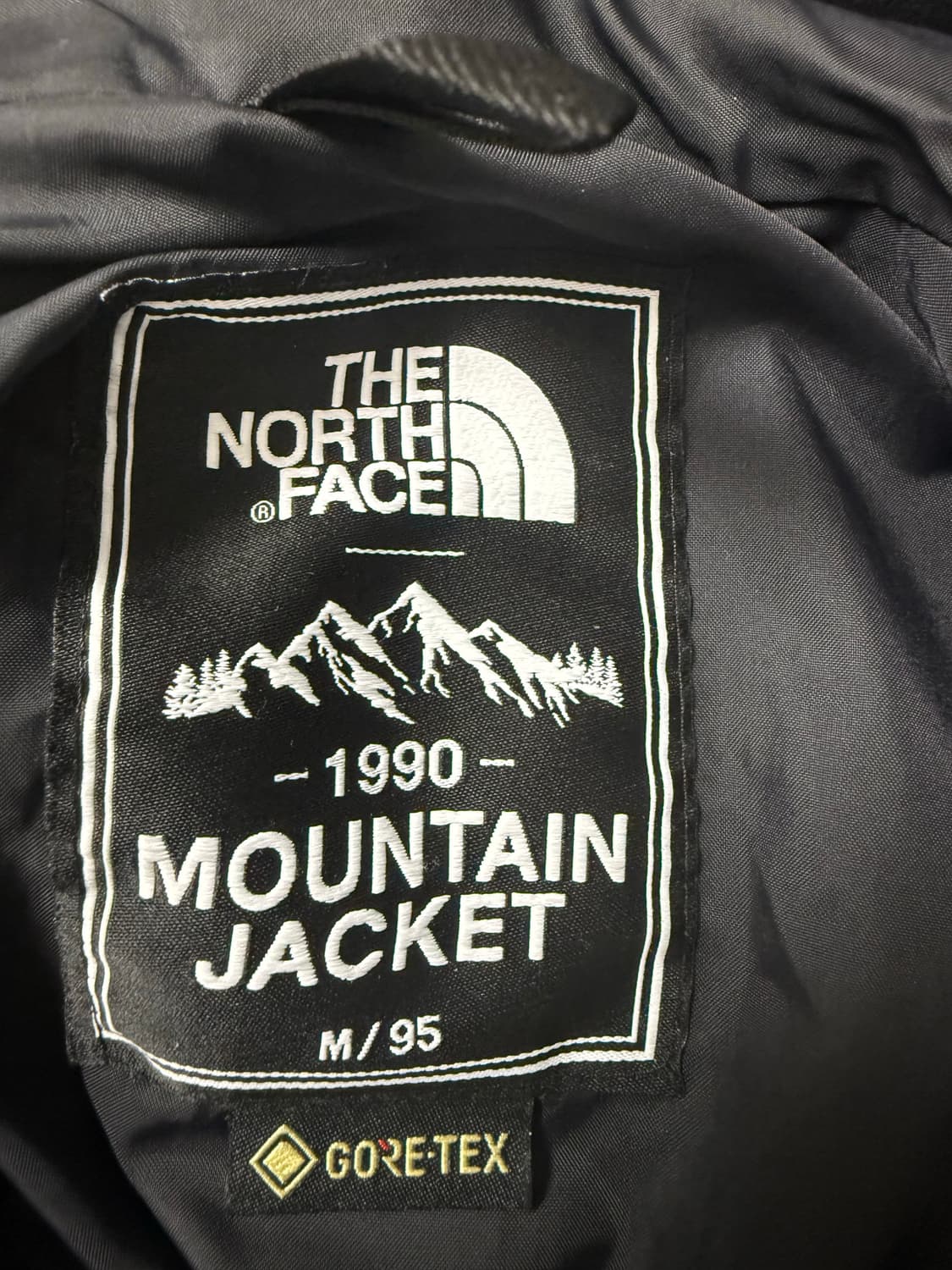 노스페이스 에코 고어텍스 마운틴 자켓 바람막이 M 95 상품이미지5