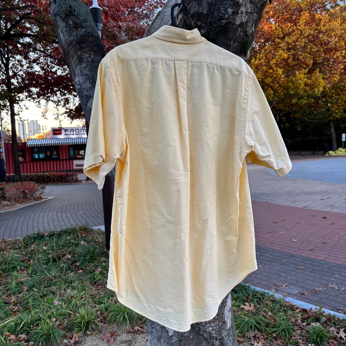 폴로 옐로 반팔 셔츠 상품이미지2