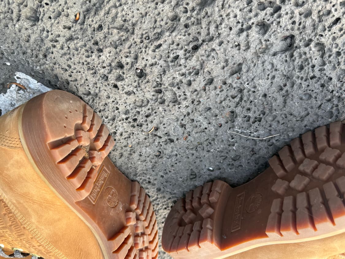 timberland 팀버랜드 6인치 상품이미지4