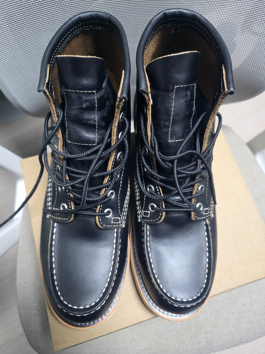 Ticktock 아이리쉬세터 목토 9874 상품이미지6