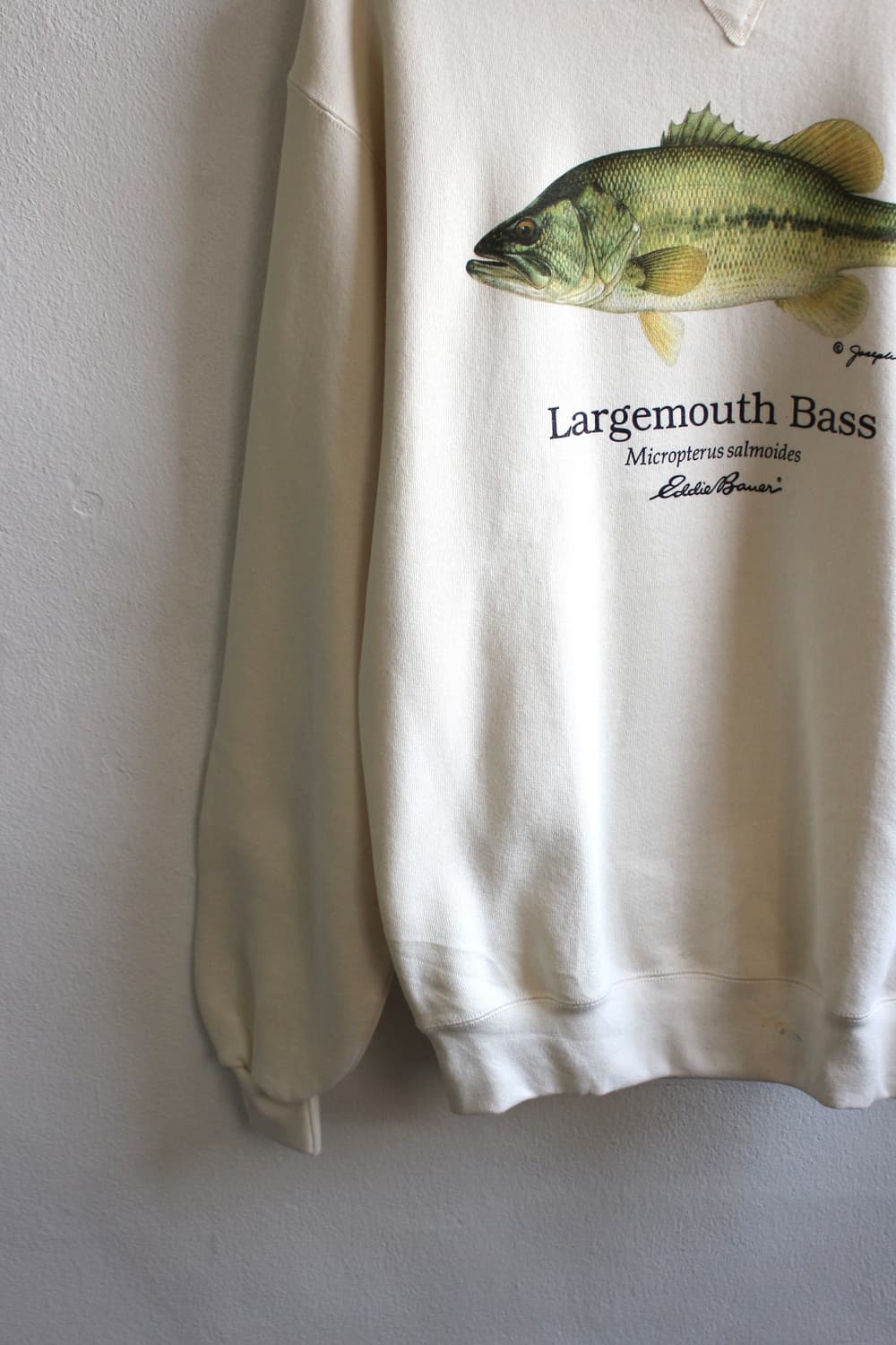 90s 에디바우어 배스 프린트 스웻셔츠 상품이미지3