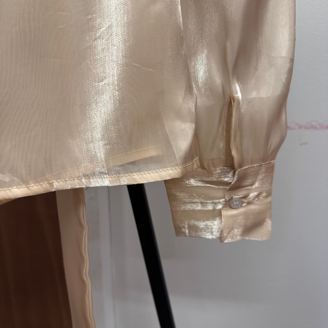 Beige Shimmer Sheer Long-Sleeve Blouse 상품이미지7