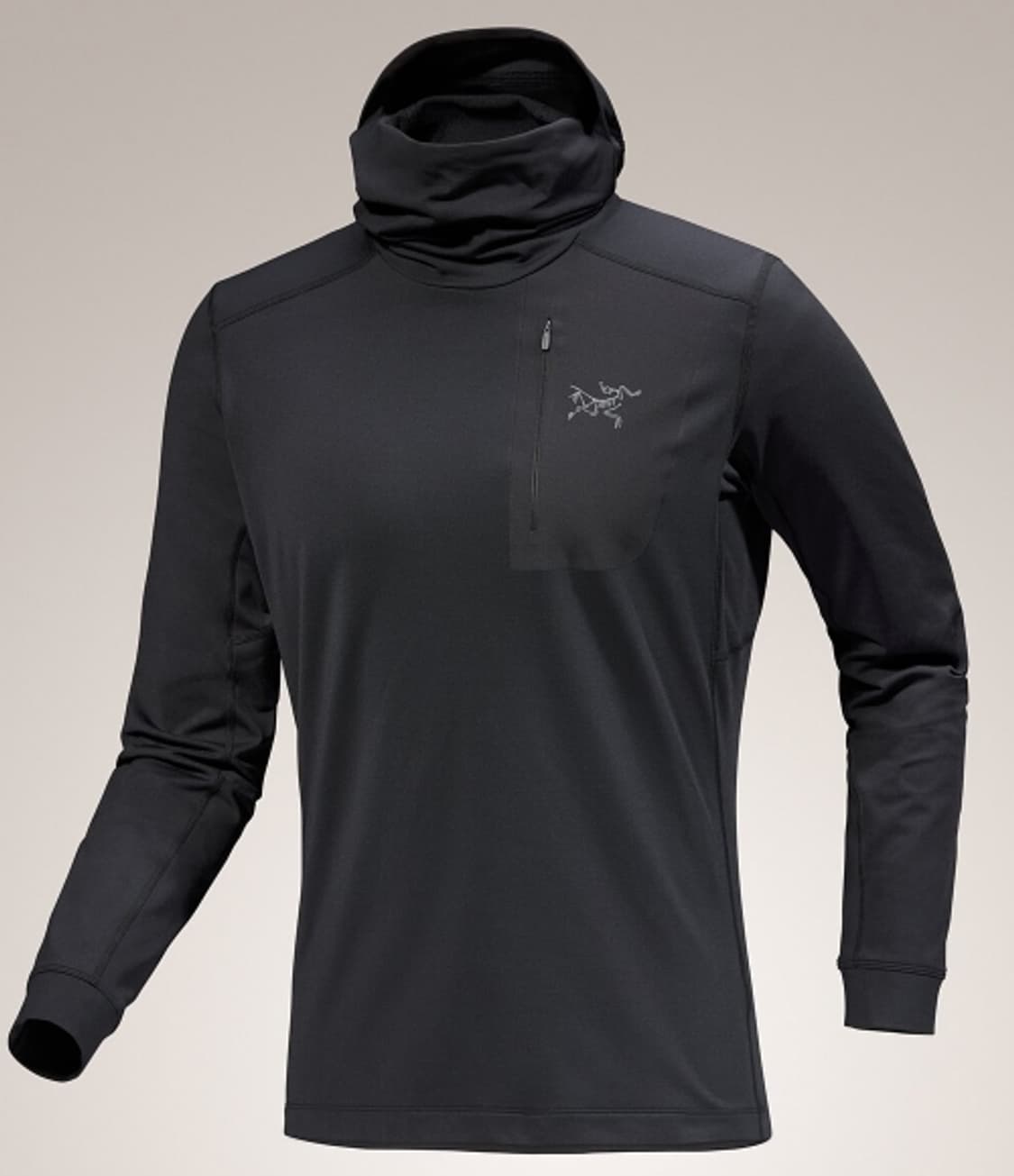 [L] 아크테릭스 로LT 블랙 상품이미지1